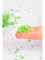 Bonbons pétillants menthe - secret Play