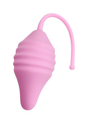 Pelvix Concept - Femintimate