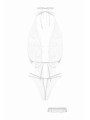 Ensemble body ouvert Renee blanc - Christine