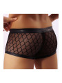Boxer noir transparent