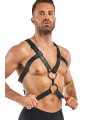 Harnais de bondage Rocco - Bedroom Fantasies
