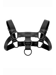 Harnais de bondage Bruno - Bedroom Fantasies