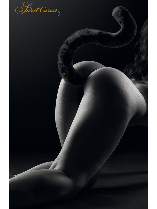 Plug noir queue de chat - Sweet Caress