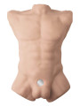 Masturbateur buste homme Apollo L