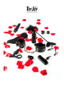 Lovetoy starter kit