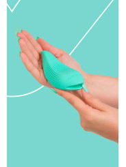 Mini vibro rechargeable DelightfulWave vert - FairyGasm