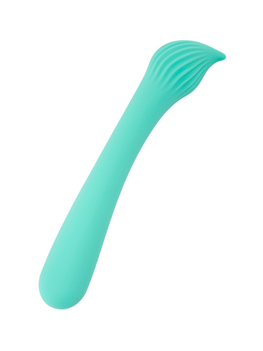 Vibro rechargeable Passionmania vert - FairyGasm