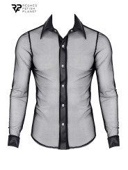 Chemise transparente Cesare - Regnes