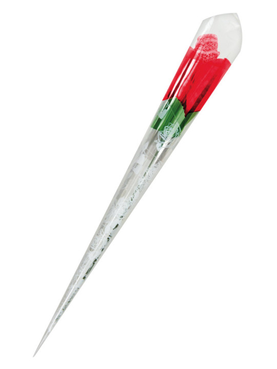 Rose surprise avec petite culotte - Fun Novelties