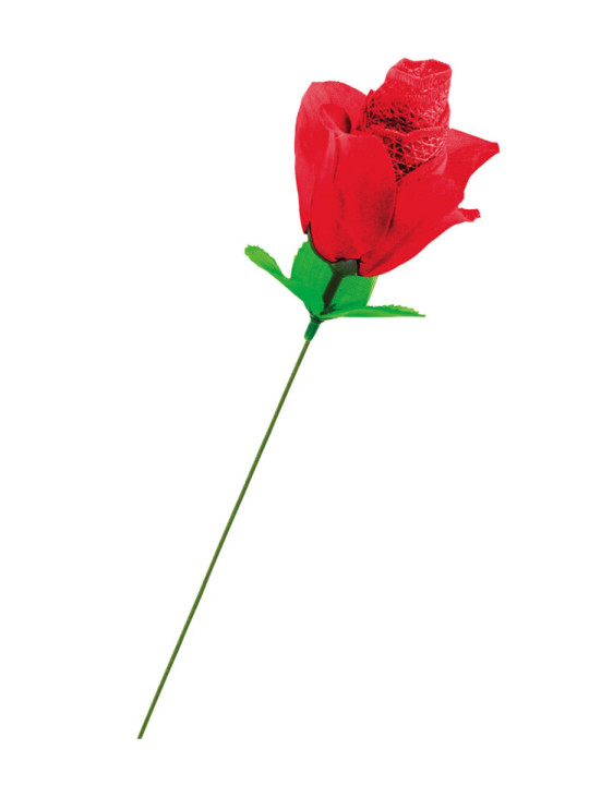 Rose surprise avec petite culotte - Fun Novelties