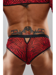 Slip type brésilien zébré rouge et noir - Regnes