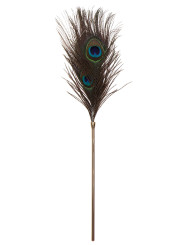 Plumeau à caresses Peacock Tickler - Taboom